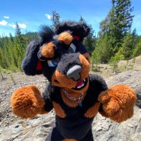 Junkyard Dog (@rottieaxel) 's Twitter Profile