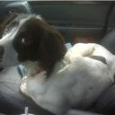 Wes McCoy - @WesMcCoy03 - Twitter