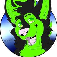 Axelthehusky (@axelthehusky1) 's Twitter Profile Photo Axelthehusky (@axelthehusky1) 's Twitter Profile Photo