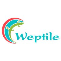 Weptile (@weptile) 's Twitter Profile