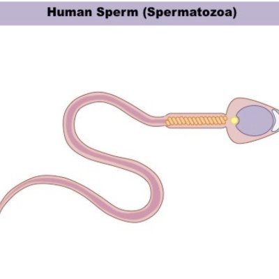 You are a winning sperm out of millions of sperms...
