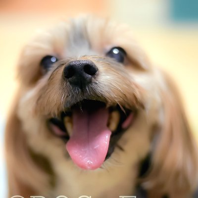 miaefoodtherapy's profile picture. 