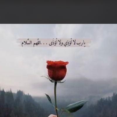 roy5q9CMbbXG5eQ's profile picture. استغفر الله لي و لوالدي و للمؤمنين و المؤمنات و المسلمين و المسلمات الأحياء منهم و الأموات الى يوم الدين .