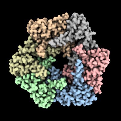 Macromolecular Complexes in DNA Damage Response Group.
Structural Biology Programme @CNIOStopCancer