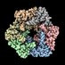 Llorca lab (@llorcalab) Twitter profile photo