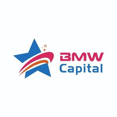 BMW Capital has invested in digital assets since 2016. We look for the smartest and energetic entrepreneurs and projects to inject energy into them.