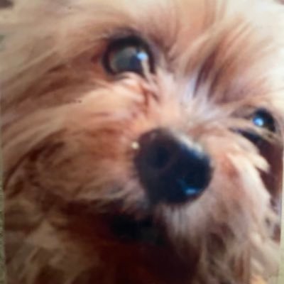 jzx100chocotaro's profile picture. 🤞✨