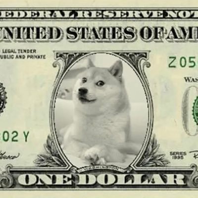 Crypto dog Dogecoin !