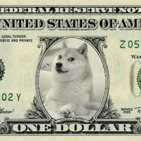 Good #Doge (@rack_stackdoge) 's Twitter Profile