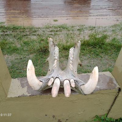 jormwa's profile picture. Explore