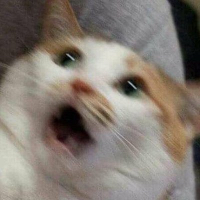 YlIxYTiJKhcudhi's profile picture. ....