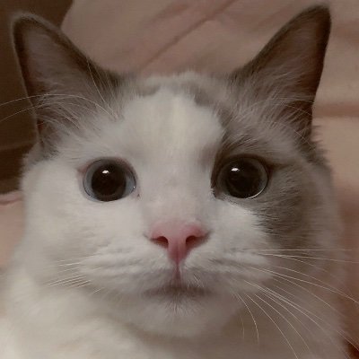 星葉*さんのプロフィール画像
