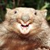Grumpy Monoped (@grumpymonoped) Twitter profile photo Grumpy Monoped (@grumpymonoped) Twitter profile photo