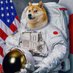 CRYTPOCC (@dogestasher) Twitter profile photo CRYTPOCC (@dogestasher) Twitter profile photo