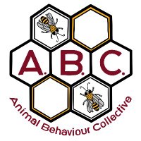 Animal Behaviour Collective (@abcmicrogrants) 's Twitter Profile Photo Animal Behaviour Collective (@abcmicrogrants) 's Twitter Profile Photo