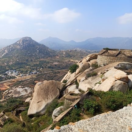 wala_nicholas's profile picture. Simple