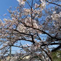 頑張って生きた医 (@nao34572858) 's Twitter Profile