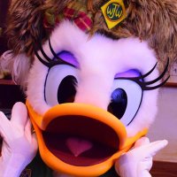 みい (@ararphi_jsmks) 's Twitter Profile