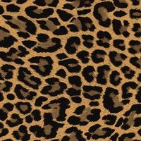 アラベスク®︎🐆🐾 (@arabesuku_love) 's Twitter Profile Photo アラベスク®︎🐆🐾 (@arabesuku_love) 's Twitter Profile Photo