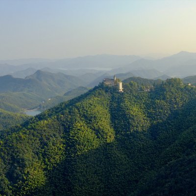 pelos11026739's profile picture. usa