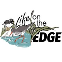 LIFEOnTheEdge(@ProjectLOTE) 's Twitter Profile Photo