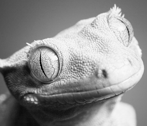 AbabOTI's profile picture. 