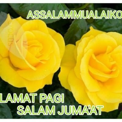 Bibi75729484's profile picture. 