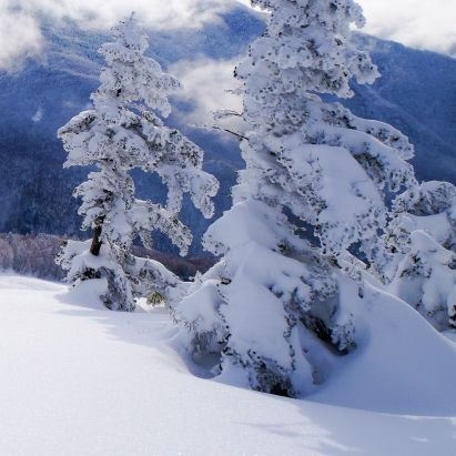 suzu_04_na_05's profile picture. 