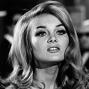 Elliot Grace - @elliotgracewp - Twitter