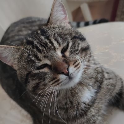 argosh_bot's profile picture. маған похуй sunshine