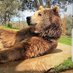 brown bears (@brownbears97one) Twitter profile photo brown bears (@brownbears97one) Twitter profile photo