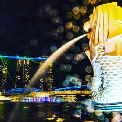 dAicyuke's profile picture. 