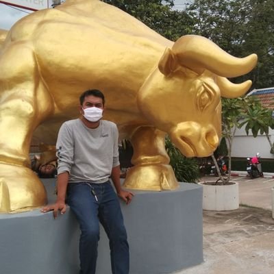 แบกปูนไปเรียนคอมมาเป็นคนทำเบื้องไปเล่นหุ้นในสวนผัก