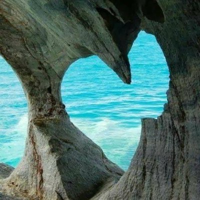 RogerMara's profile picture. 