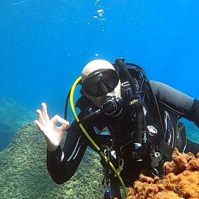 JoanLopezParede's profile picture. 