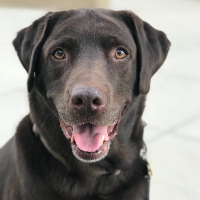 TDBowlin's profile picture. 