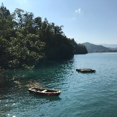 HaoYangWang's profile picture. 