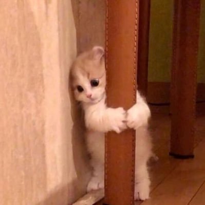 muppppppu's profile picture. บ่นสัพเพเหระ เป็นติ่ง ติดละคร เล่นหวยและรีทวีตการเมือง