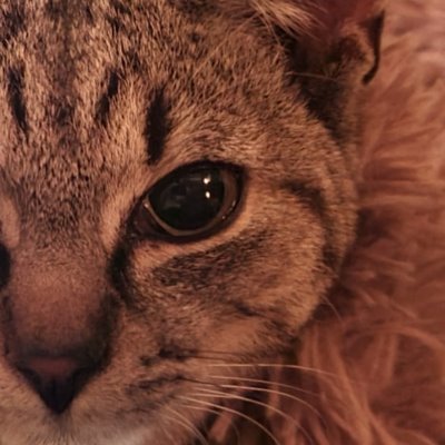 TradingDotBegin's profile picture. Started trading since 2017

Not financial advice