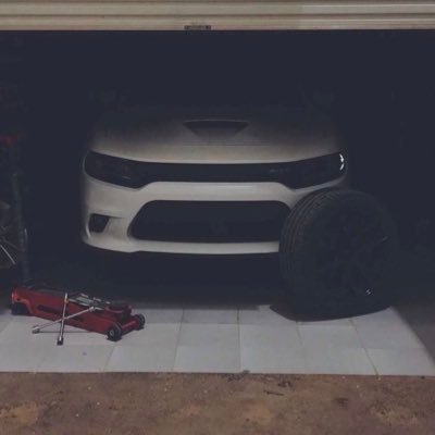 ui_bgp's profile picture. 