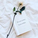Evie Mitchell - @EvieMit95344675 - Twitter