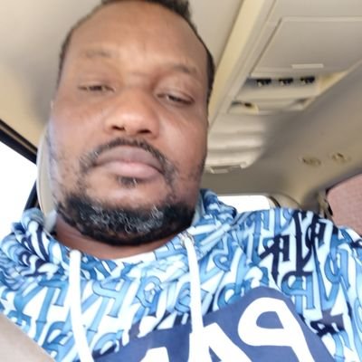 Fritz88562269's profile picture. birdfly fly