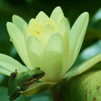 Reto (@retosava) 's Twitter Profile Photo