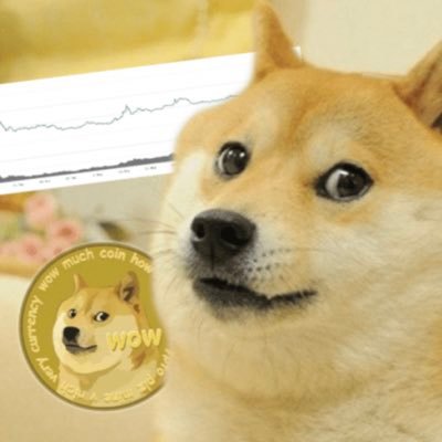 bobchristian14's profile picture. 