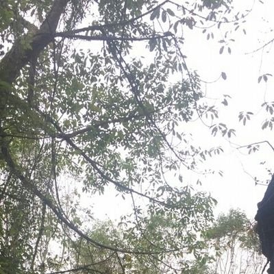 いいね専垢・成人済∣
無言フォロー失礼します∣
