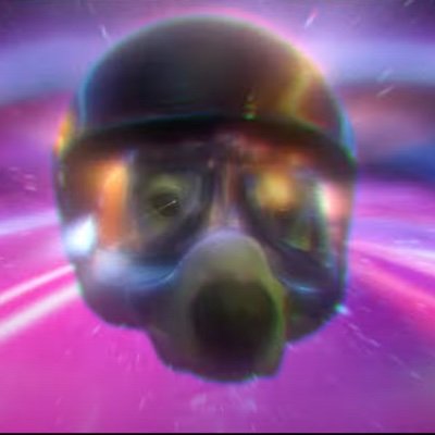 OneStonk's profile picture. not financial advice. I also like rockets.