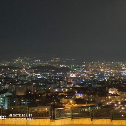 volkiferide's profile picture. 