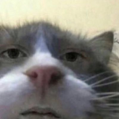 _slasherslasher's profile picture. ᕙ╏ : ◑ ڡ ◑ : ╏ᕗ