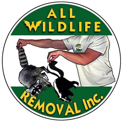 Humane Wildlife Removal & Pest Control In Ontario. We look forward to helping you take care of any of your wildlife problems. Call us Today