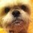tracy_gr0wls's profile image